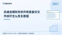 武威金蝶财务软件账套备份文件损坏怎么恢复数据