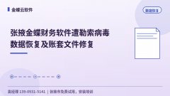 张掖金蝶财务软件遭勒索病毒数据恢复及账套文件恢复