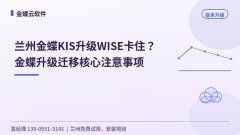 兰州金蝶KIS升级WISE卡住怎么办