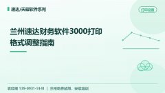 兰州速达财务软件3000打印格式调整指南